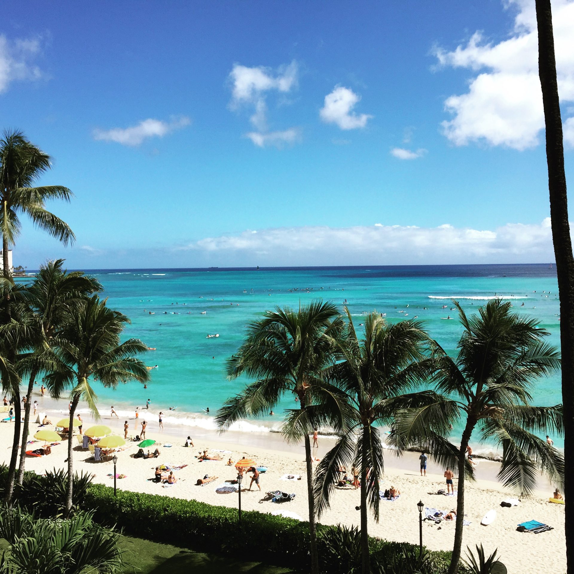 Waikiki ocean view