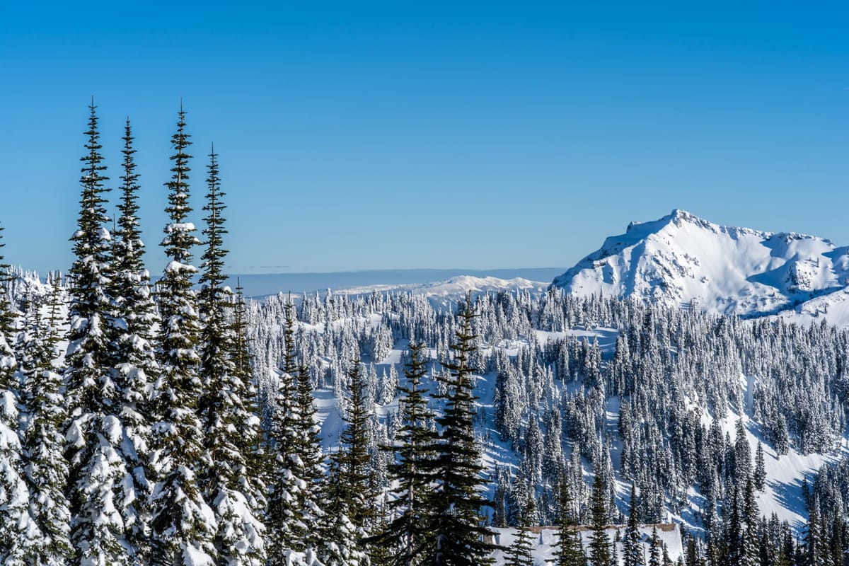 Visiting Paradise Mt. Rainier for the first time